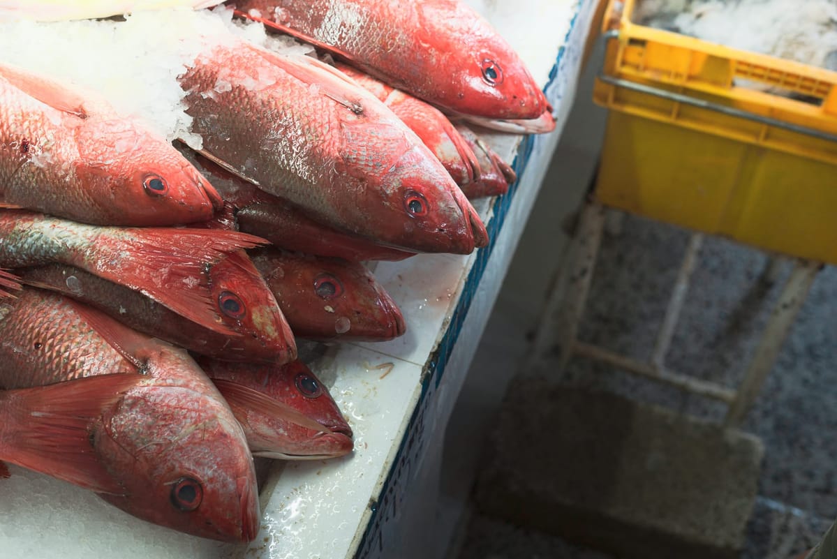 assurance poissonnier, rc pro poissonnier, assurance poissonnerie, rc pro poissonnerie